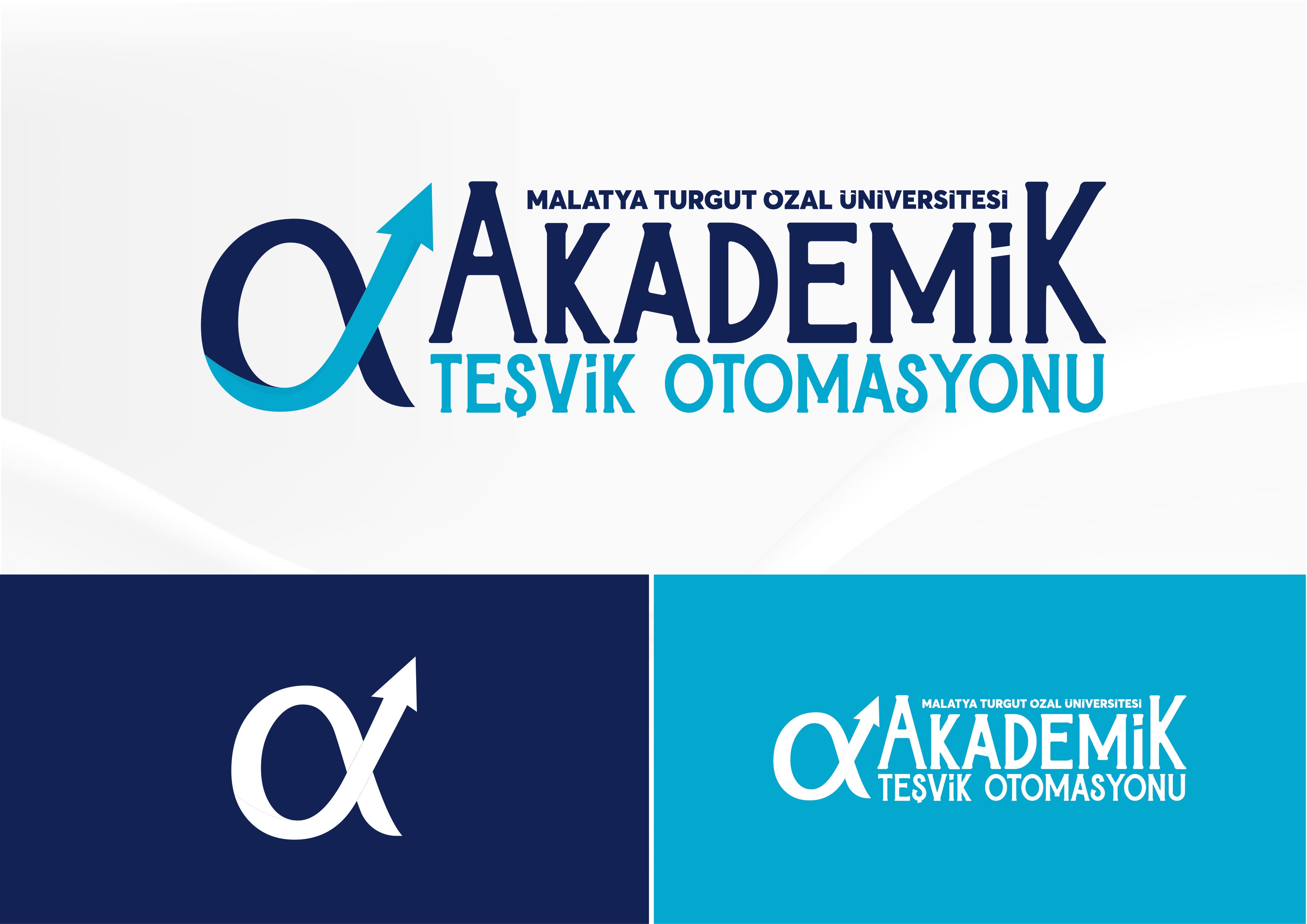 Akademik Teşvik